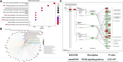 Synthesis and biological evaluation of the novel chrysin prodrug for non-alcoholic fatty liver disease treatment